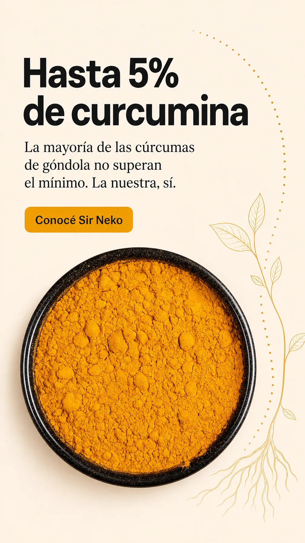 Sir Neko ad: turmeric with 5% curcumin